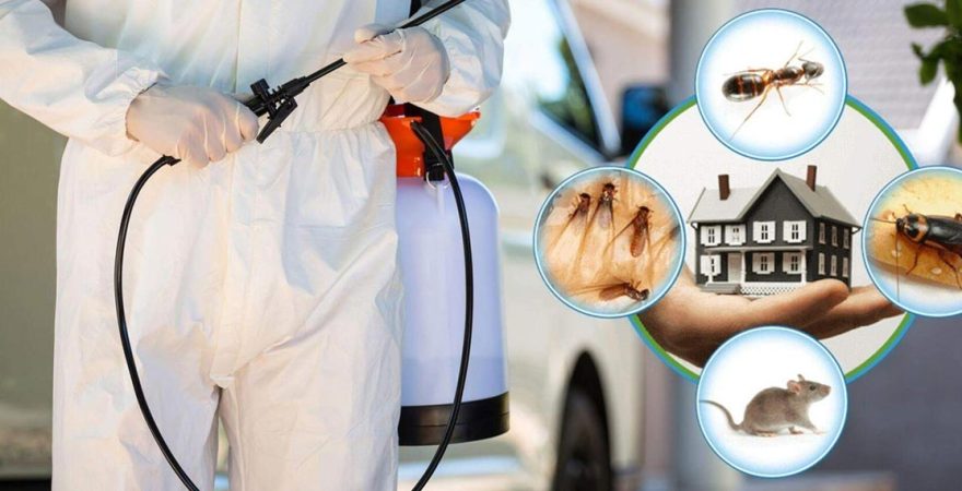 Çal Böcek İlaçlama