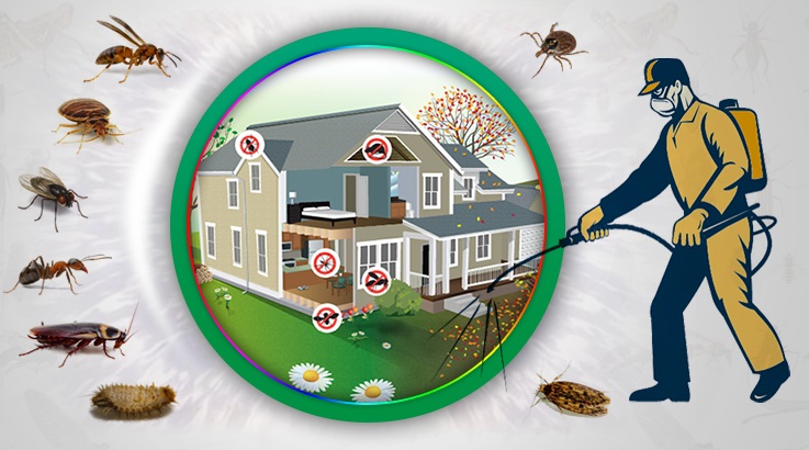 Çal Böcek İlaçlama